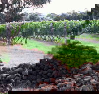 Spring Vale Vineyard - Great Ocean Road Restaurant