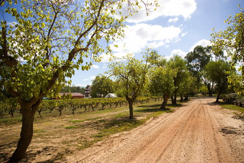 Tahbilk Winery And Vineyard - Great Ocean Road Restaurant 1