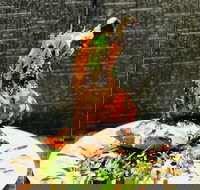 Cafe Bear and Scoobs - Great Ocean Road Restaurant