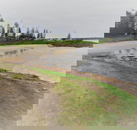 South West Rocks Country Club - Great Ocean Road Restaurant