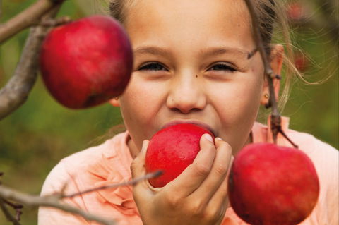 Suttons Juice Factory And Cidery - Great Ocean Road Restaurant 2