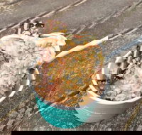 Blue Door - Great Ocean Road Restaurant