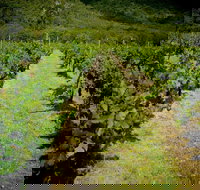 Gartelmann Wines - Great Ocean Road Restaurant