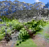 Woongooroo Estate Winery - Great Ocean Road Restaurant