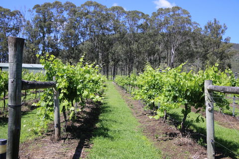 Woongooroo Estate Winery - Great Ocean Road Restaurant 0