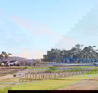 Blacklea Vineyard and Olive Grove - Great Ocean Road Restaurant