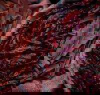 Urban Tadka - Great Ocean Road Restaurant