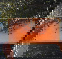 Clayridge Honey - Great Ocean Road Restaurant