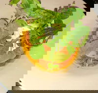 Harvey's Bar - Great Ocean Road Restaurant