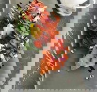 KALV  Co. Cafe and Wine Bar - Great Ocean Road Restaurant