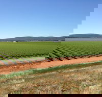 Melange Wines - Great Ocean Road Restaurant