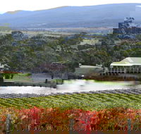Milton Vineyard - Great Ocean Road Restaurant