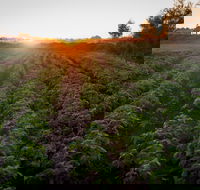 Phoenix Park Farm Gate - Great Ocean Road Restaurant