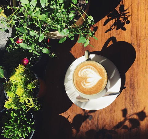 The Hideout Coffee House - Great Ocean Road Restaurant 0