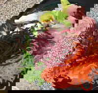 Cafe Rhubaba - Great Ocean Road Restaurant