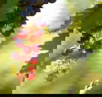 Raleigh Winery - Great Ocean Road Restaurant