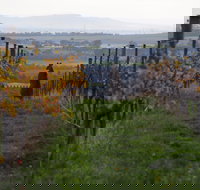 Barwon Ridge Wines - Great Ocean Road Restaurant