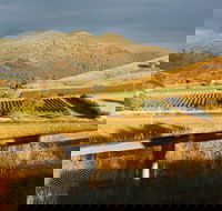 Optimiste Wines - Great Ocean Road Restaurant