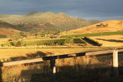 Optimiste Wines - Great Ocean Road Restaurant 0