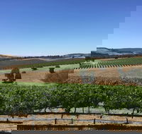 Peerick Vineyard and Winery - Great Ocean Road Restaurant