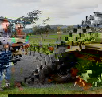 Brook Eden Vineyard - Great Ocean Road Restaurant