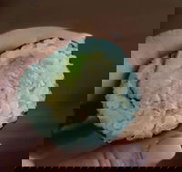 Genki Sushi - Essendon - Great Ocean Road Restaurant