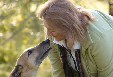 Levrier Wines By Jo Irvine - Great Ocean Road Restaurant 0