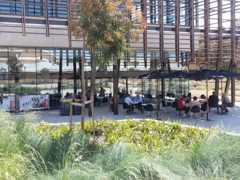 The Lost Arc - Great Ocean Road Restaurant 0