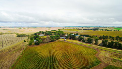 Pettavel Wines - Great Ocean Road Restaurant 0