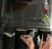 Sushi Station