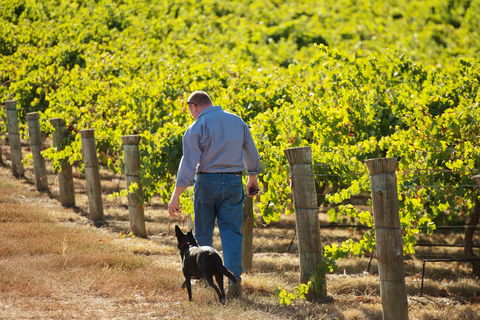 Eden Hall Wines - Great Ocean Road Restaurant 1