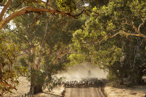 Eden Hall Wines - Great Ocean Road Restaurant 2