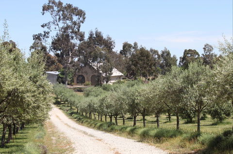 L'Oliveraie Olive Grove - Great Ocean Road Restaurant 0