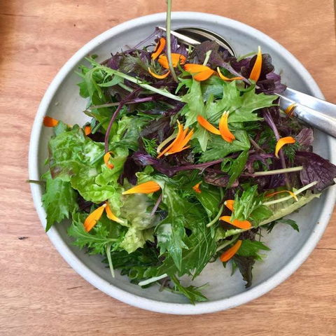 Yarri Restaurant And Bar - Great Ocean Road Restaurant 0