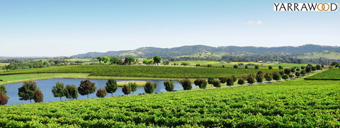 Yarrawood Estate - Great Ocean Road Restaurant 2