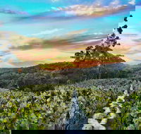 Between the Vines Cellar Door - Great Ocean Road Restaurant