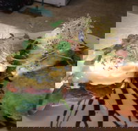 Cafe in the Mountains - Great Ocean Road Restaurant