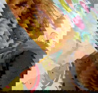 Point Hook Fish'n'Chips - Great Ocean Road Restaurant