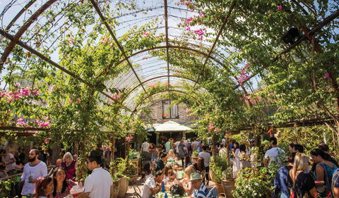 The Grounds Of Alexandria - Great Ocean Road Restaurant 2