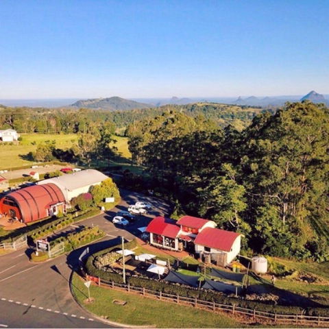 Live Foods Cafe - Great Ocean Road Restaurant 0