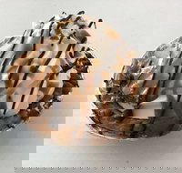 Oven Door Bakery Cafe Drover - Great Ocean Road Restaurant