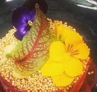 The Shack Cafe - Great Ocean Road Restaurant