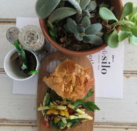 Cafe Silo - Great Ocean Road Restaurant