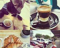 Bear & Cub - Great Ocean Road Restaurant 11