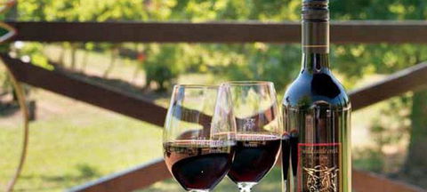 Wild Cattle Creek Estate Restaurant - Great Ocean Road Restaurant 4