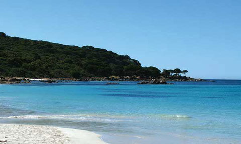 Bunkers Beach House - Great Ocean Road Restaurant 10