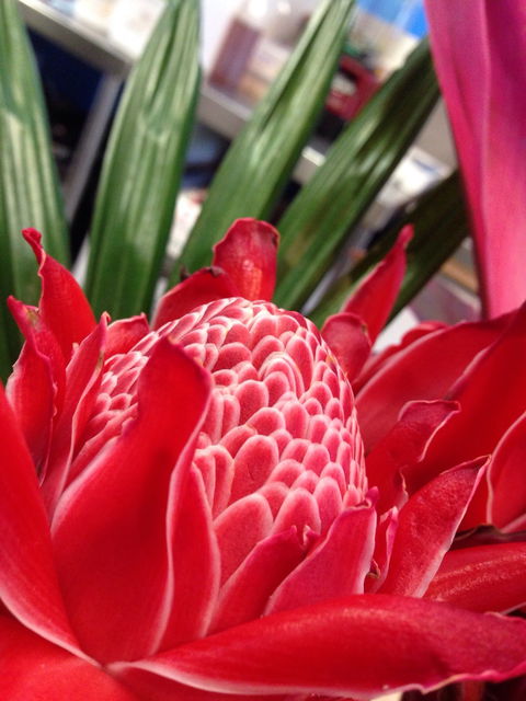 Ebb And Flow Cafe - Great Ocean Road Restaurant 3