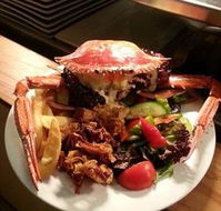 Safari Club Bar  Grill - Great Ocean Road Restaurant