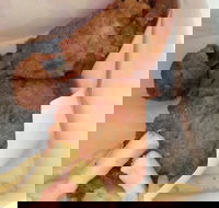 KFC - Great Ocean Road Restaurant