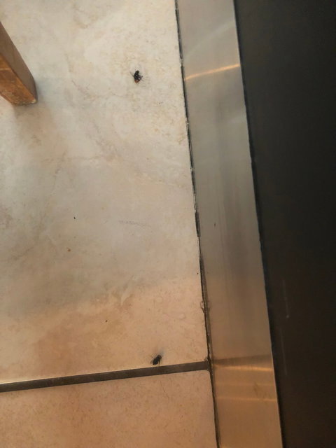 Wharf One Food & Wine - Great Ocean Road Restaurant 18